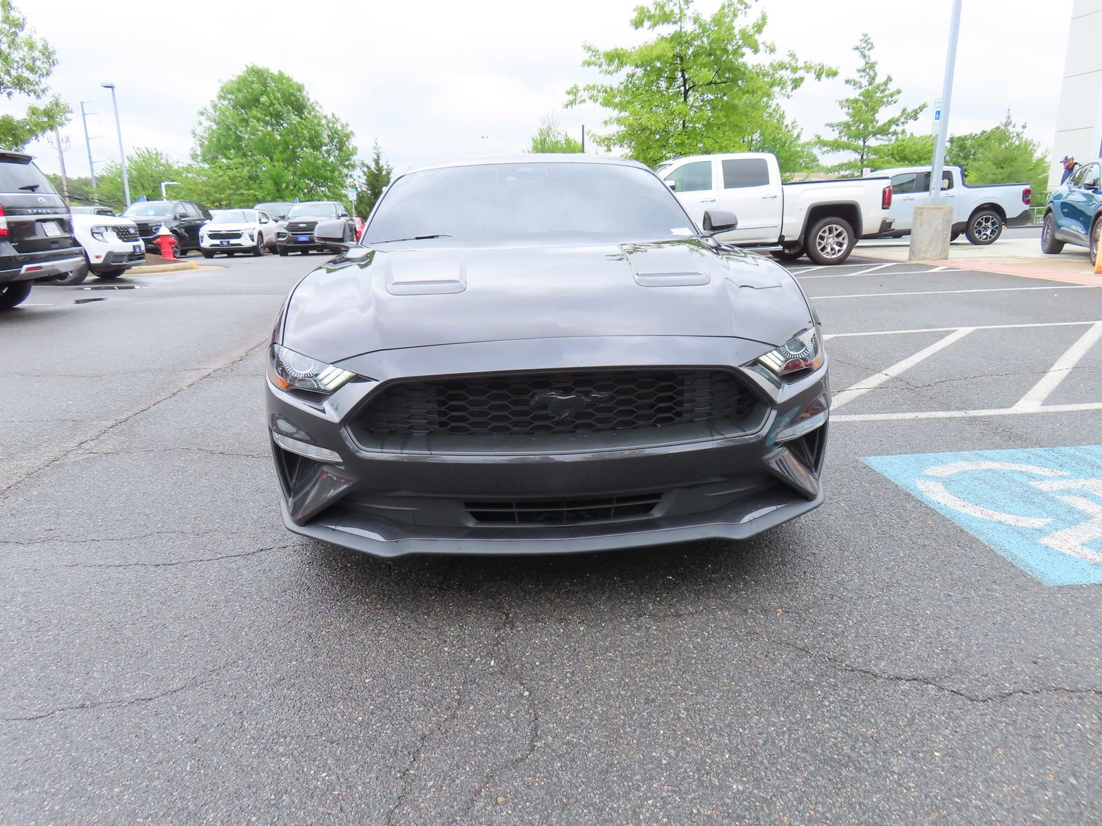 Used 2023 Ford Mustang Premium w/ Equipment Group 201A RWD image 2