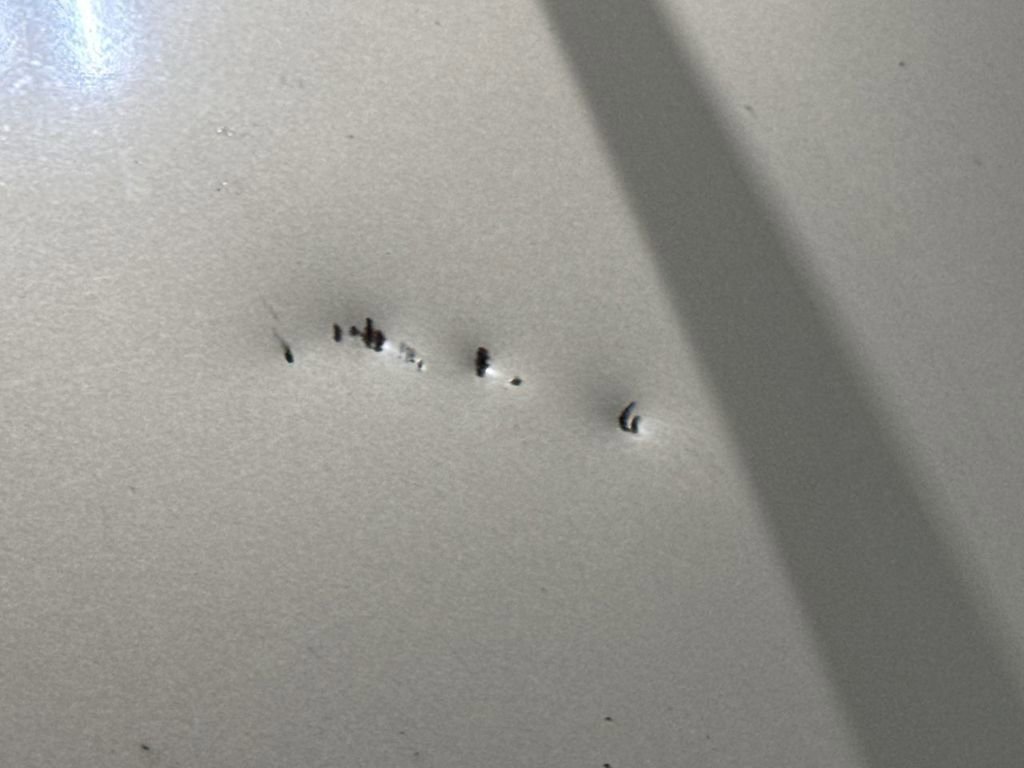 Used 2010 Kia Sedona LX image 37