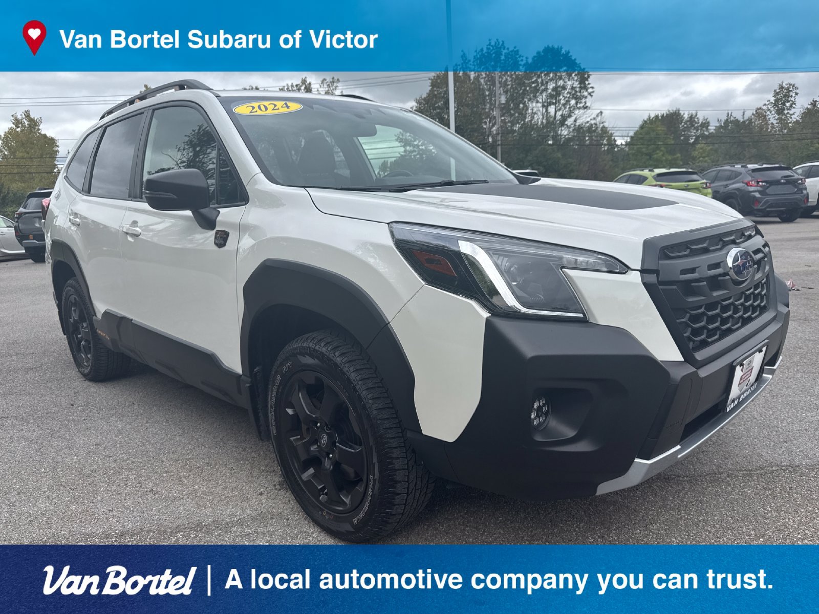 Certified 2024 Subaru Forester Wilderness AWD/4WD image 8
