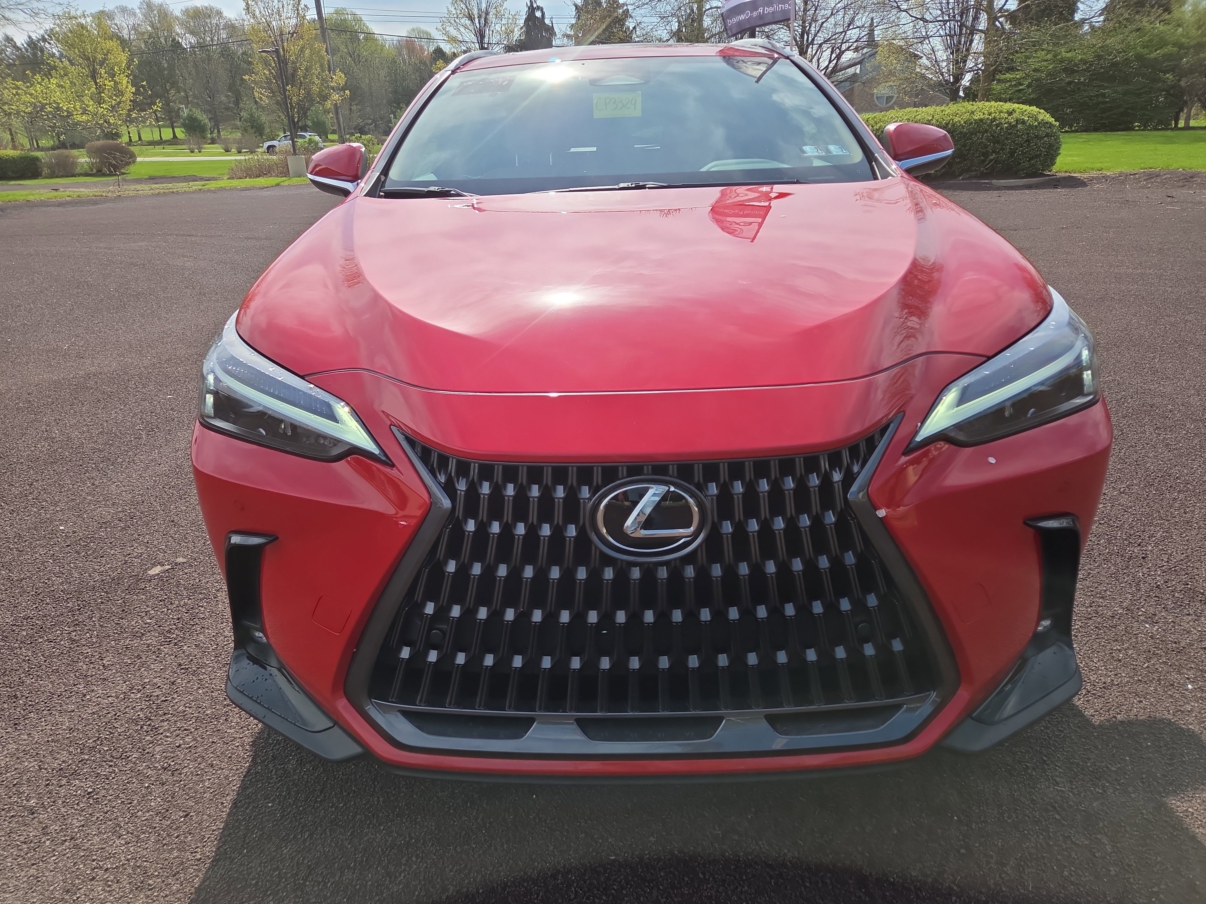 Certified 2024 Lexus NX 350h AWD w/ Cold Area Package image 8