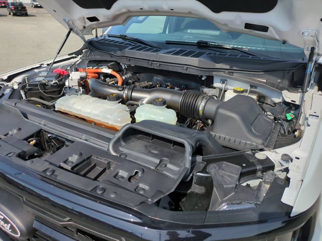 Used 2024 Ford F150 XLT w/ Equipment Group 302A MID AWD/4WD image 35