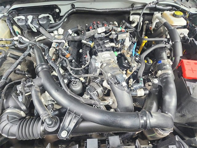 Used 2022 Ford Bronco Wildtrak image 17