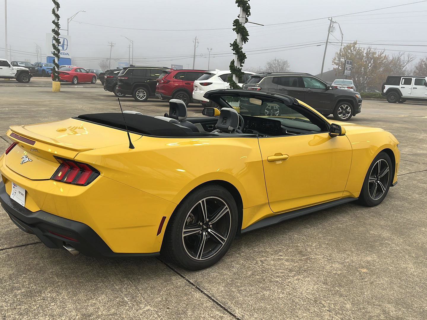 Used 2024 Ford Mustang Premium image 5