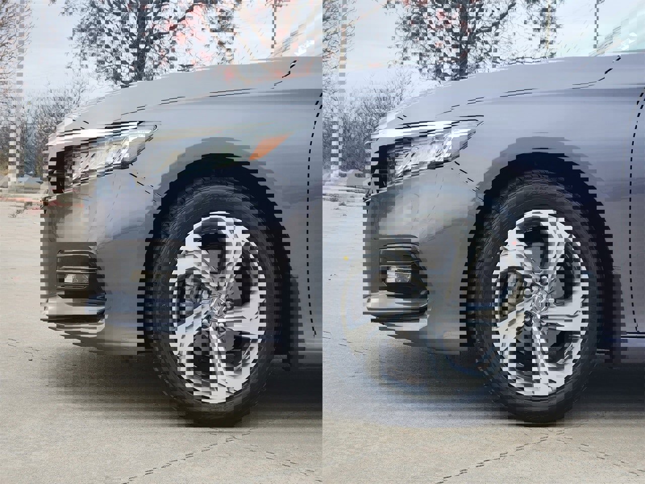 Certified 2019 Honda Accord EX image 8