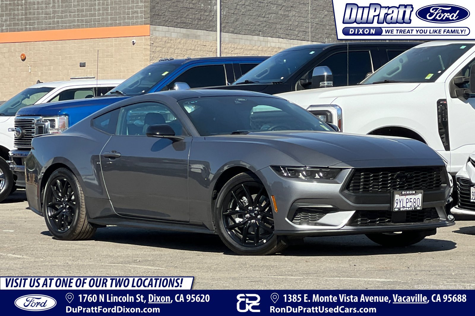 Used 2026 Ford Mustang Coupe w/ Mustang Nite Pony Package RWD image 1