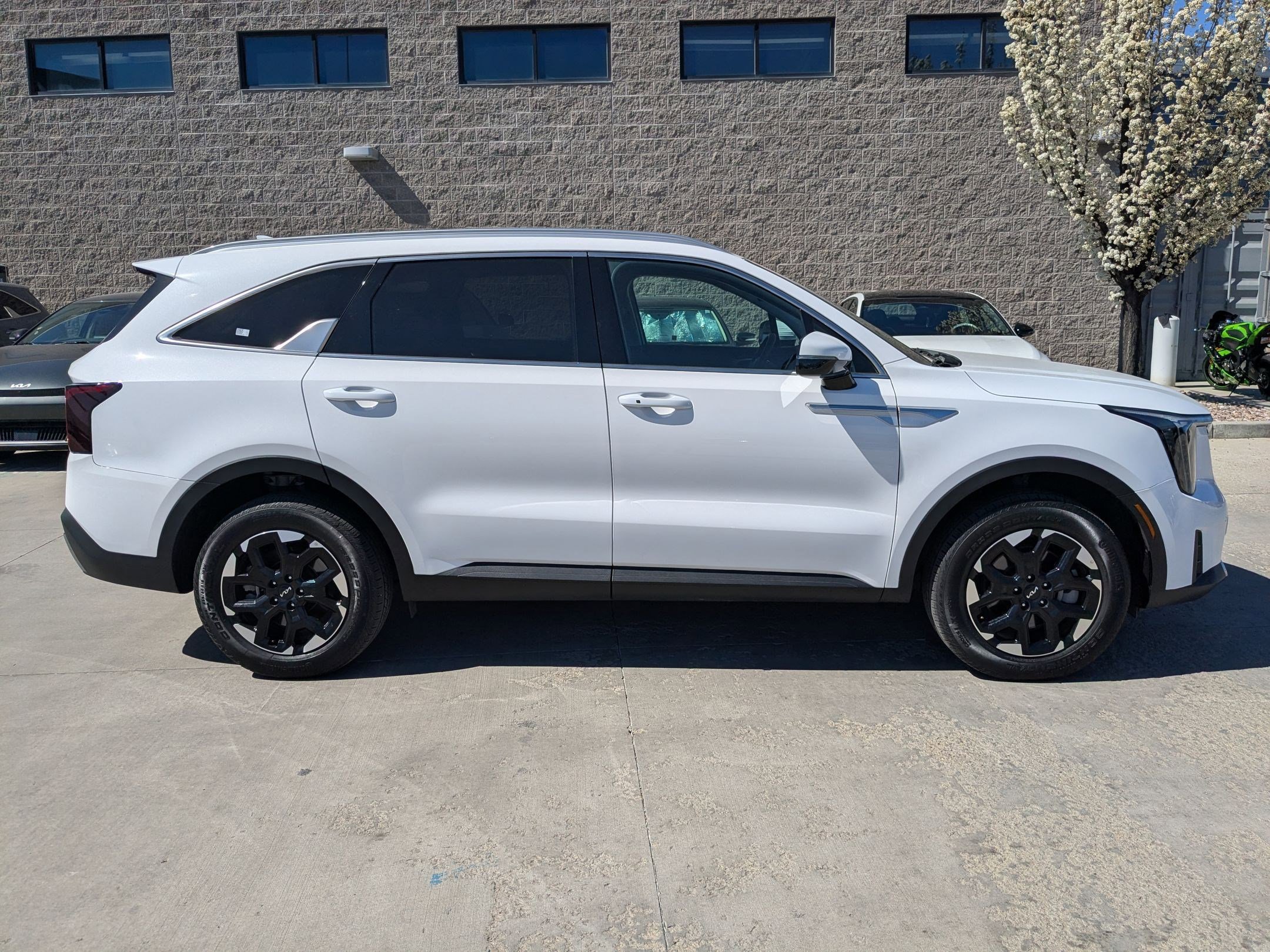 Certified 2025 Kia Sorento S image 6