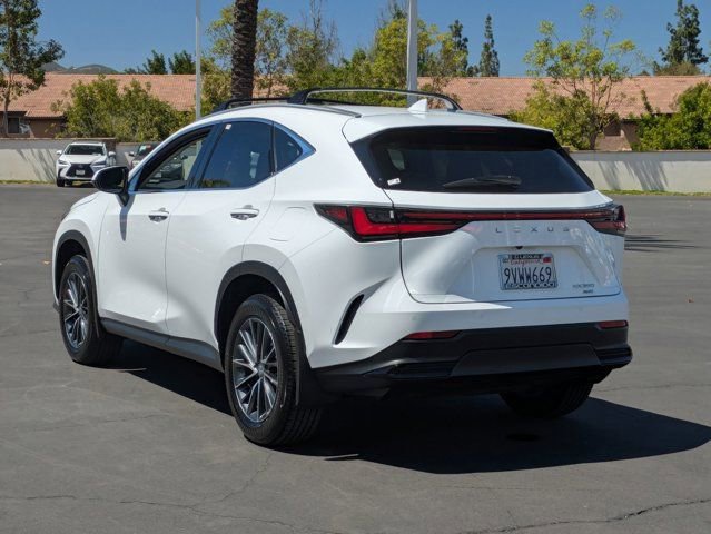Used 2026 Lexus NX 350 AWD w/ Accessory Package (2T) image 7