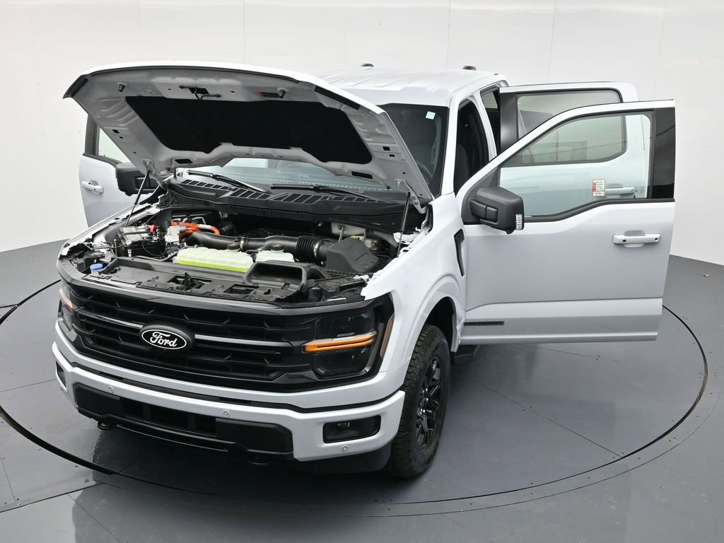 New 2025 Ford F150 XLT w/ Equipment Group 302A MID image 52