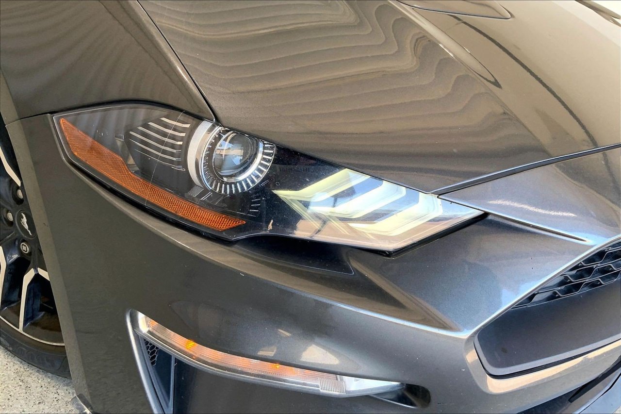 Used 2019 Ford Mustang Premium RWD image 12