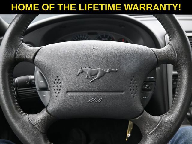 Used 2003 Ford Mustang Mach 1 image 19