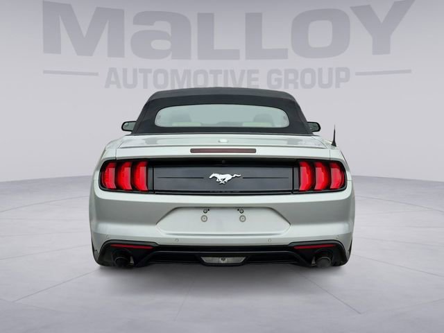 Used 2019 Ford Mustang Premium image 4