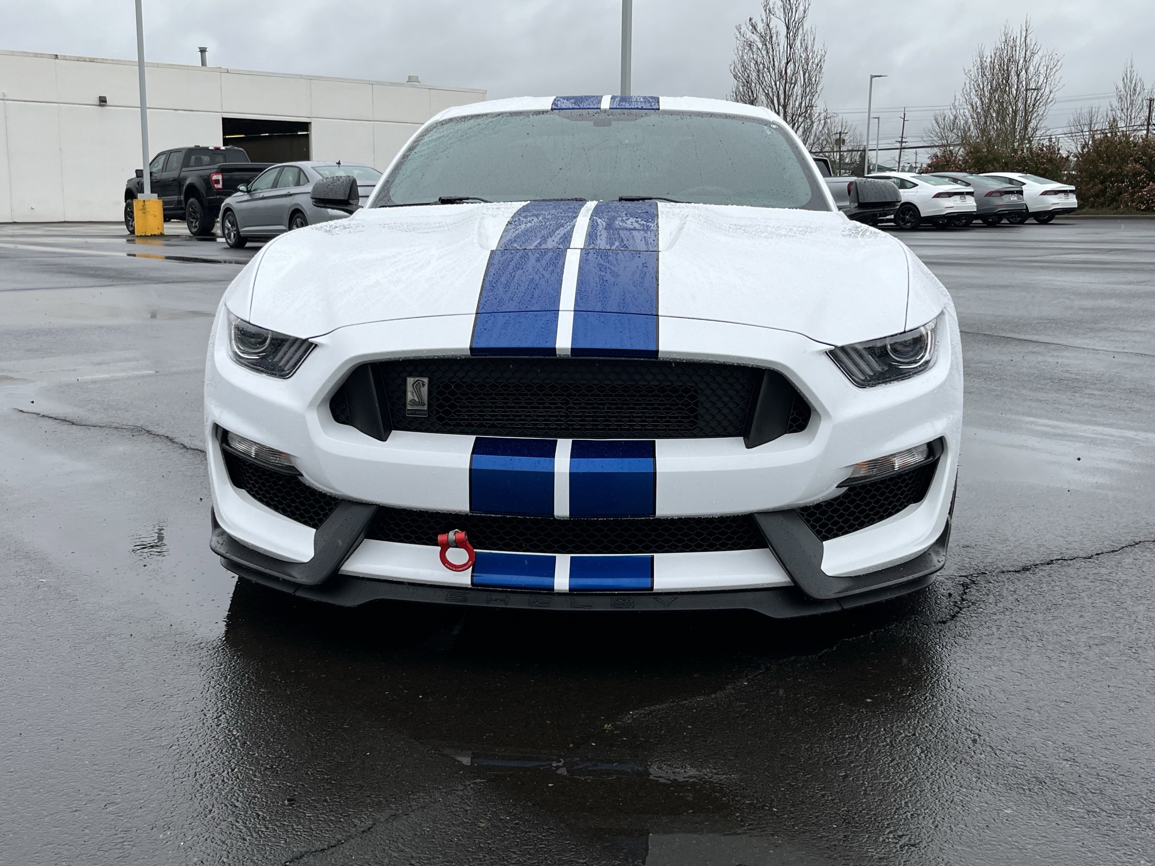 Used 2017 Ford Mustang Shelby GT350 w/ Electronics Package image 14