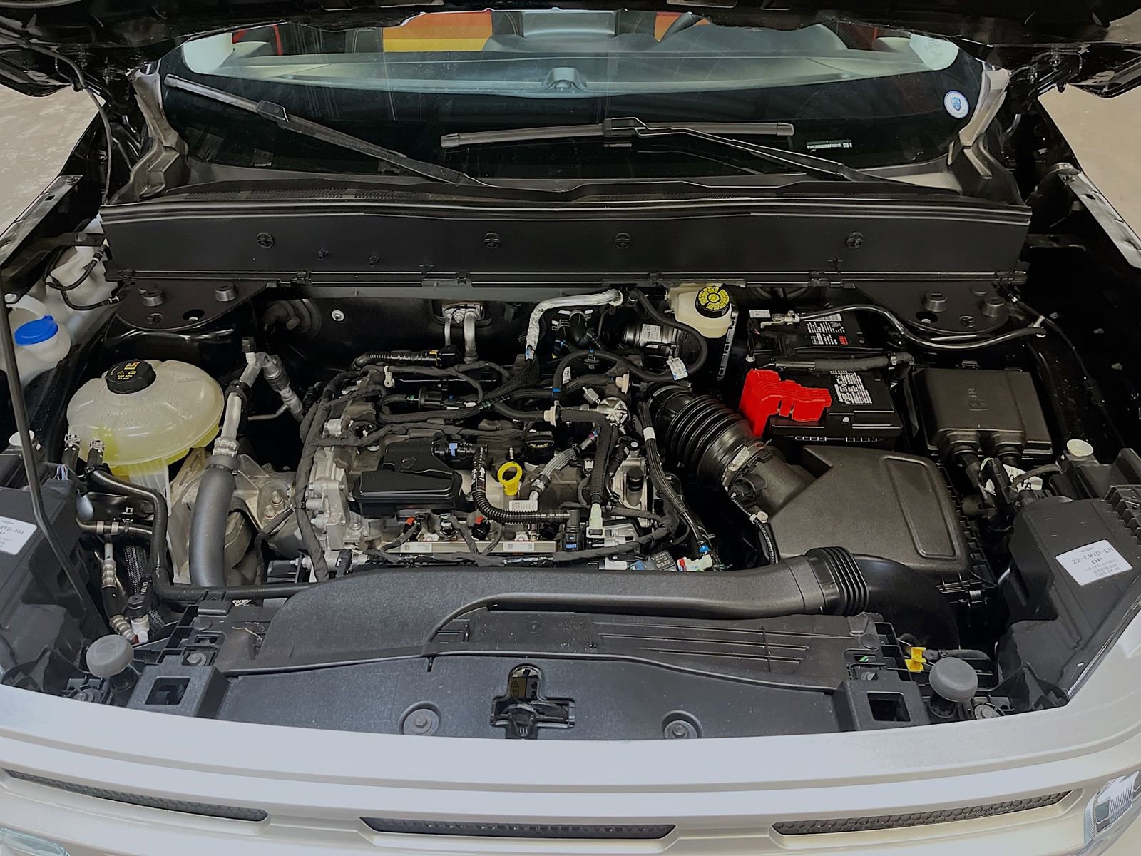 Used 2024 Ford Bronco Sport Free Wheeling w/ Convenience Package image 31