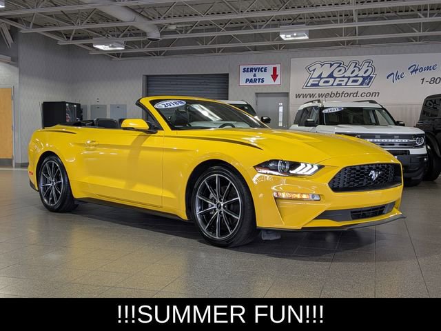 Used 2018 Ford Mustang Premium w/ Equipment Group 201A RWD image 2