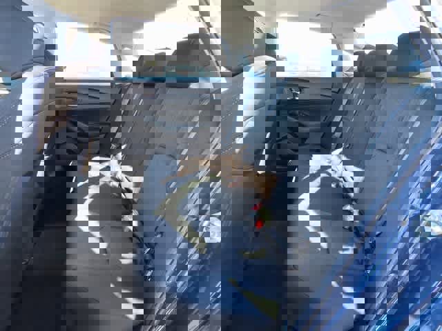 Certified 2024 Honda Accord EX image 12