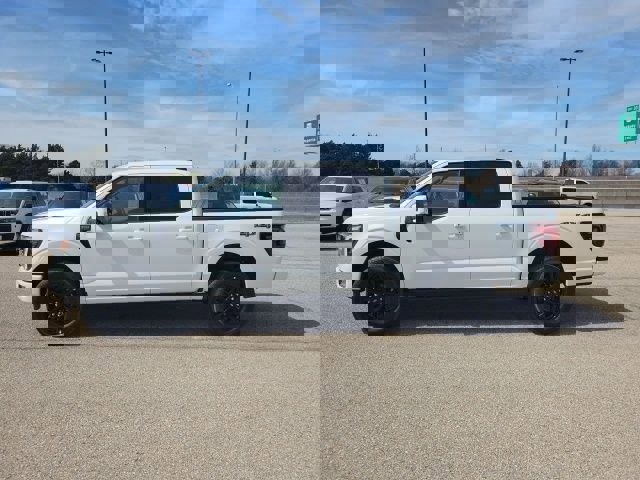 New 2026 Ford F150 Platinum image 2