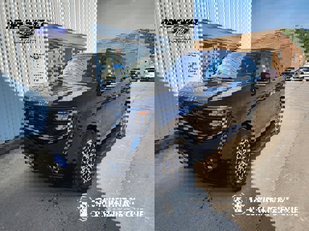 New 2025 Ford Expedition Active