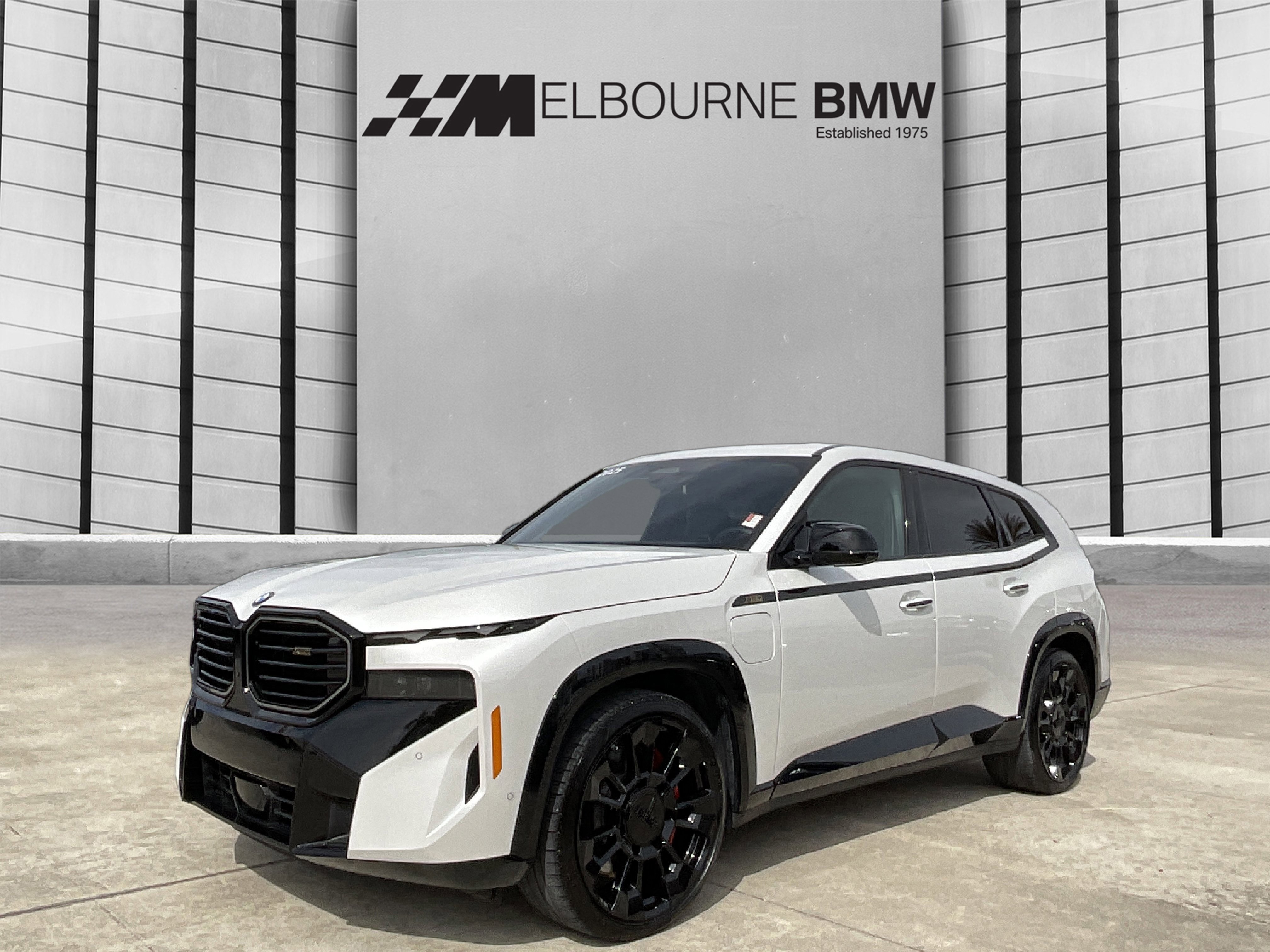 Used 2025 BMW XM image 3