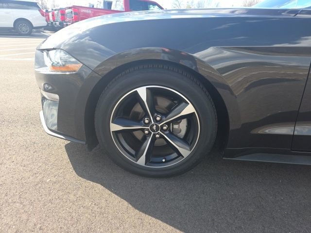 Certified 2023 Ford Mustang EcoBoost w/ Equipment Group 101A image 15