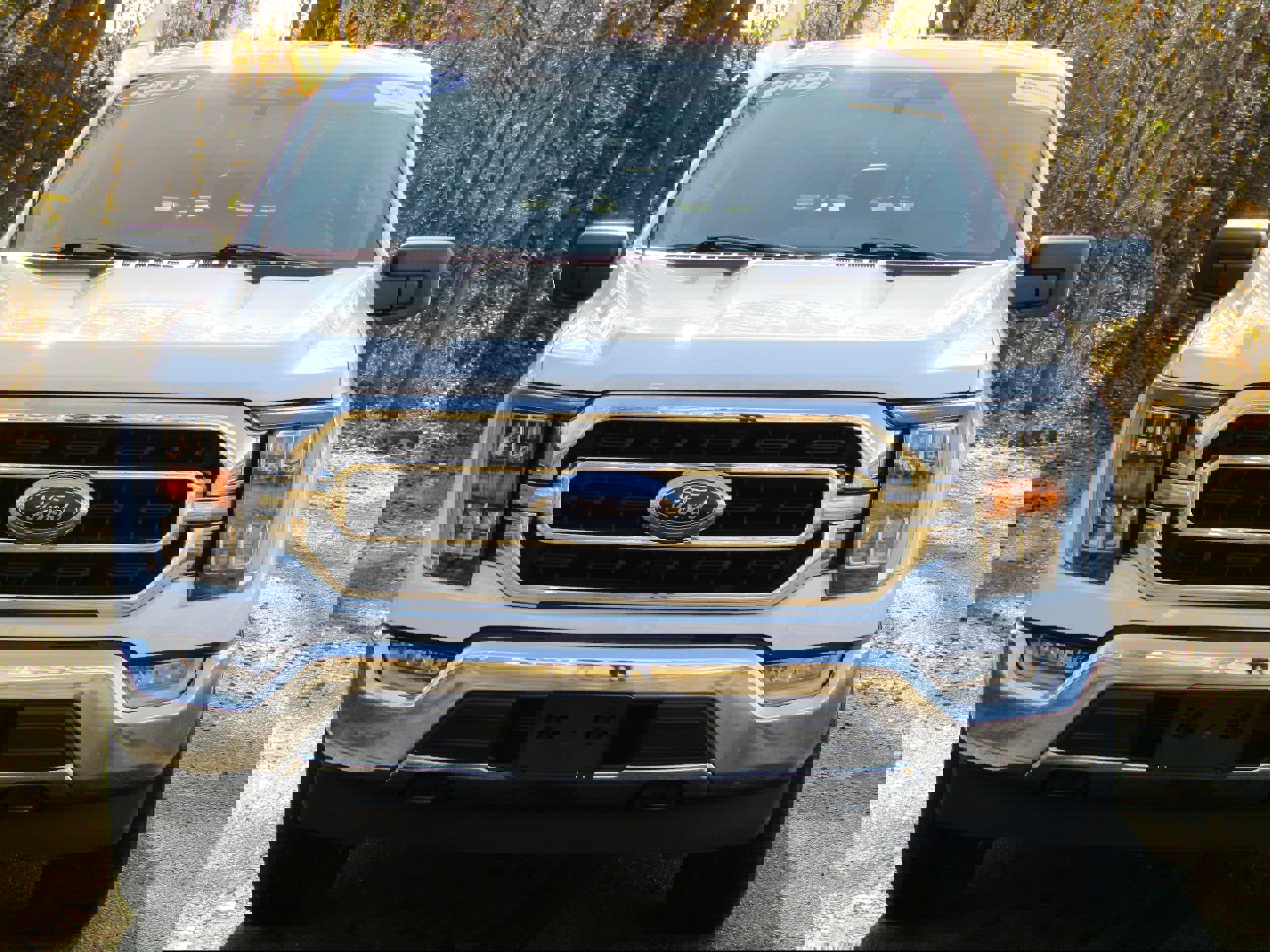 Certified 2022 Ford F150 XLT w/ Equipment Group 302A High image 7