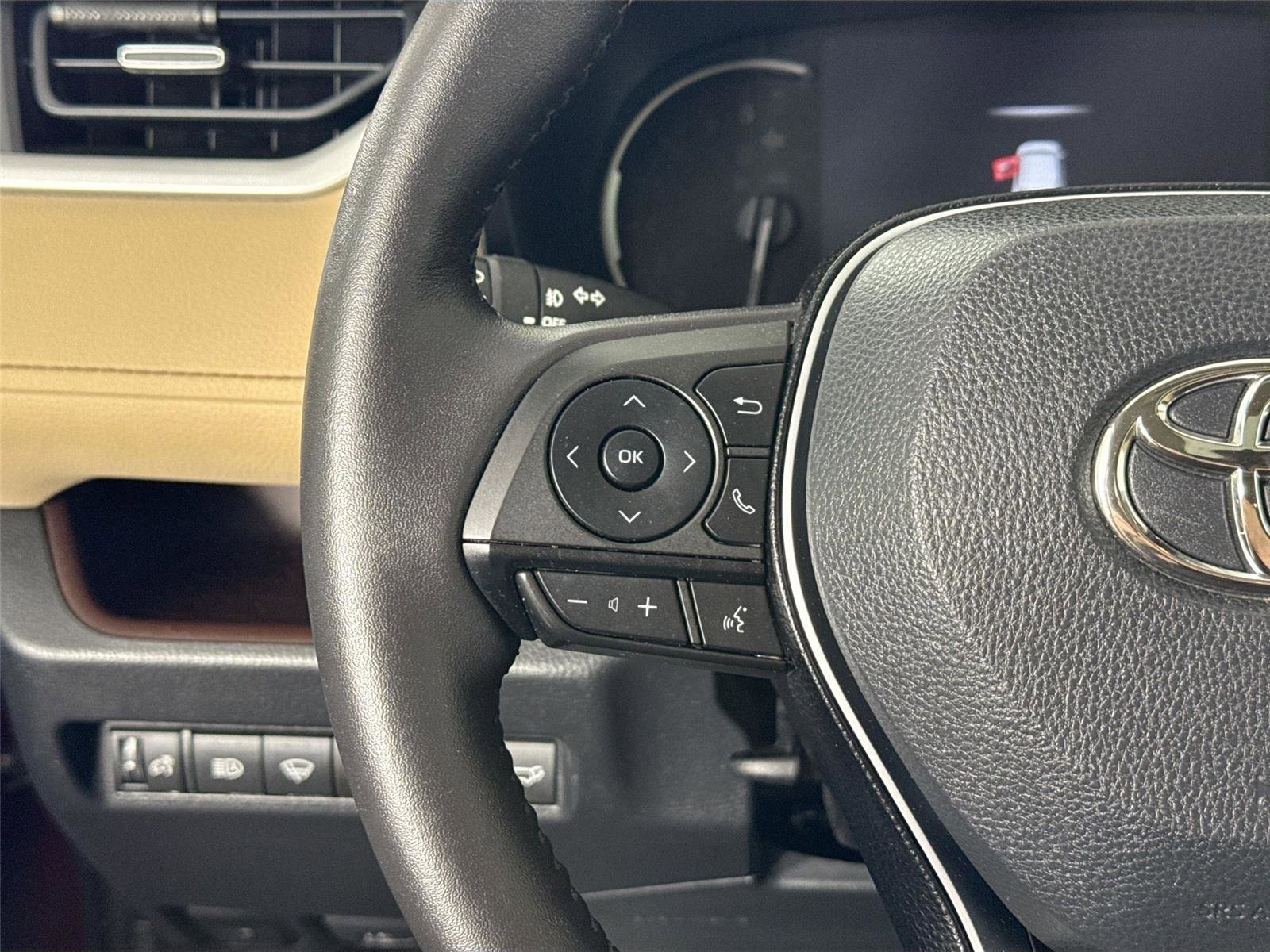 Used 2019 Toyota RAV4 Limited w/ Cold Weather Package image 18