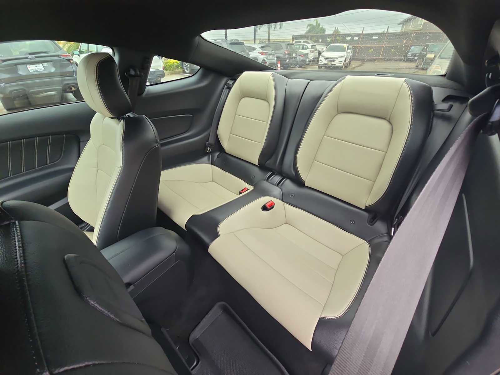 Used 2019 Ford Mustang GT Premium w/ Enhanced Security Package image 23