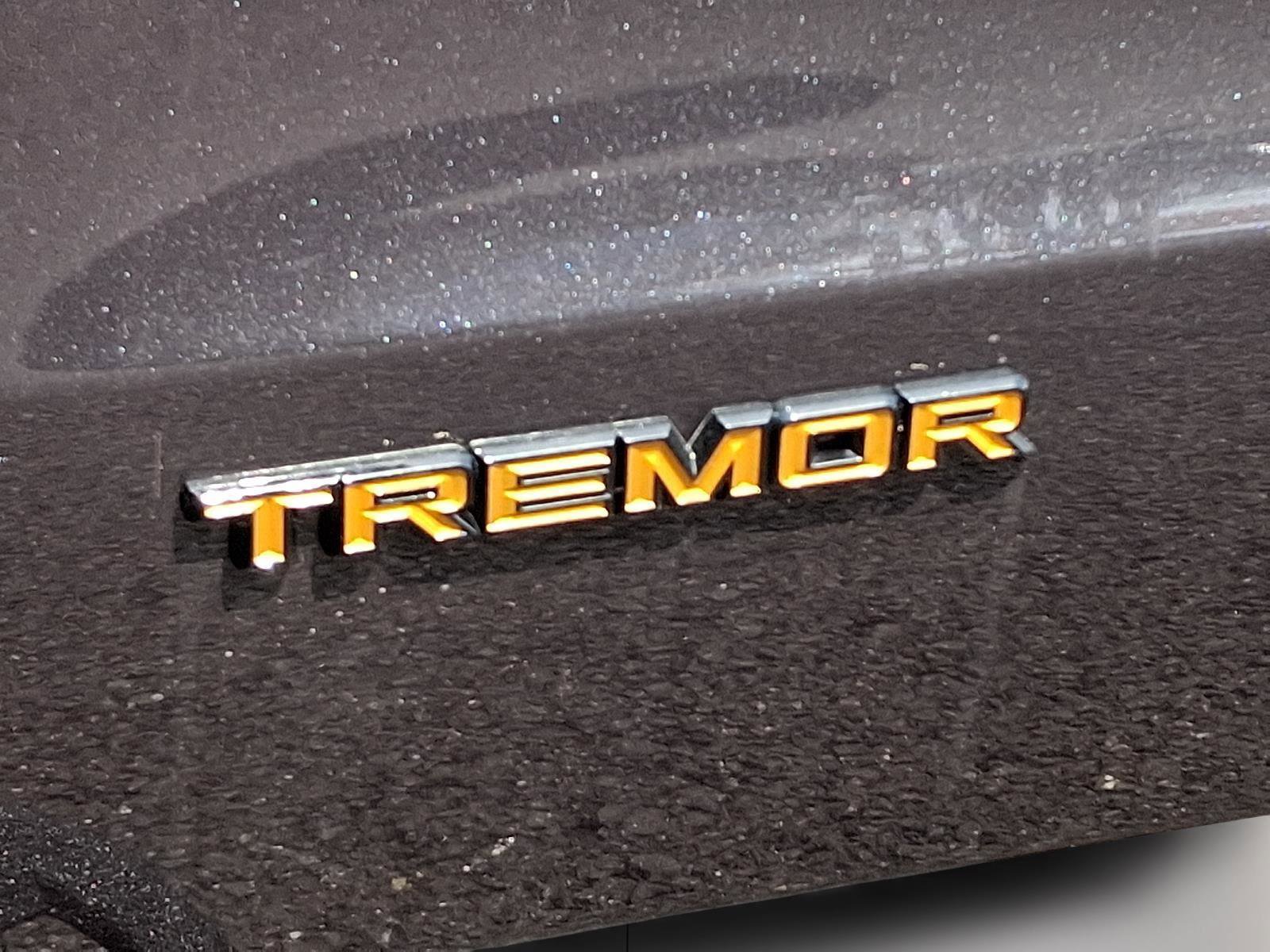 New 2025 Ford Expedition Tremor AWD/4WD image 37