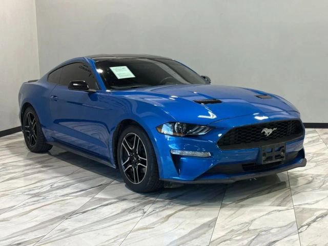 Used 2019 Ford Mustang EcoBoost w/ Equipment Group 101A image 4