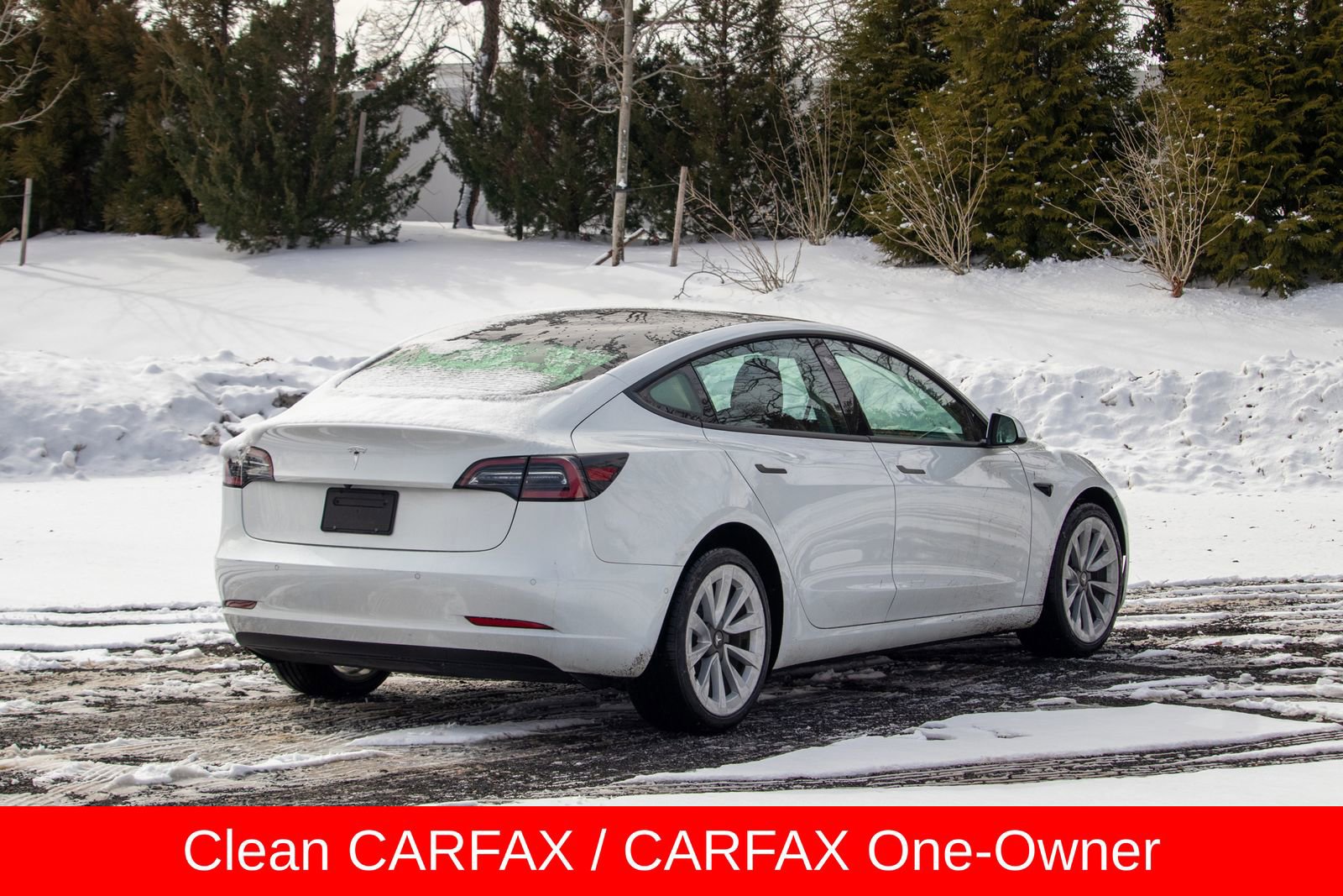 Used 2022 Tesla Model 3 Standard Range RWD image 8