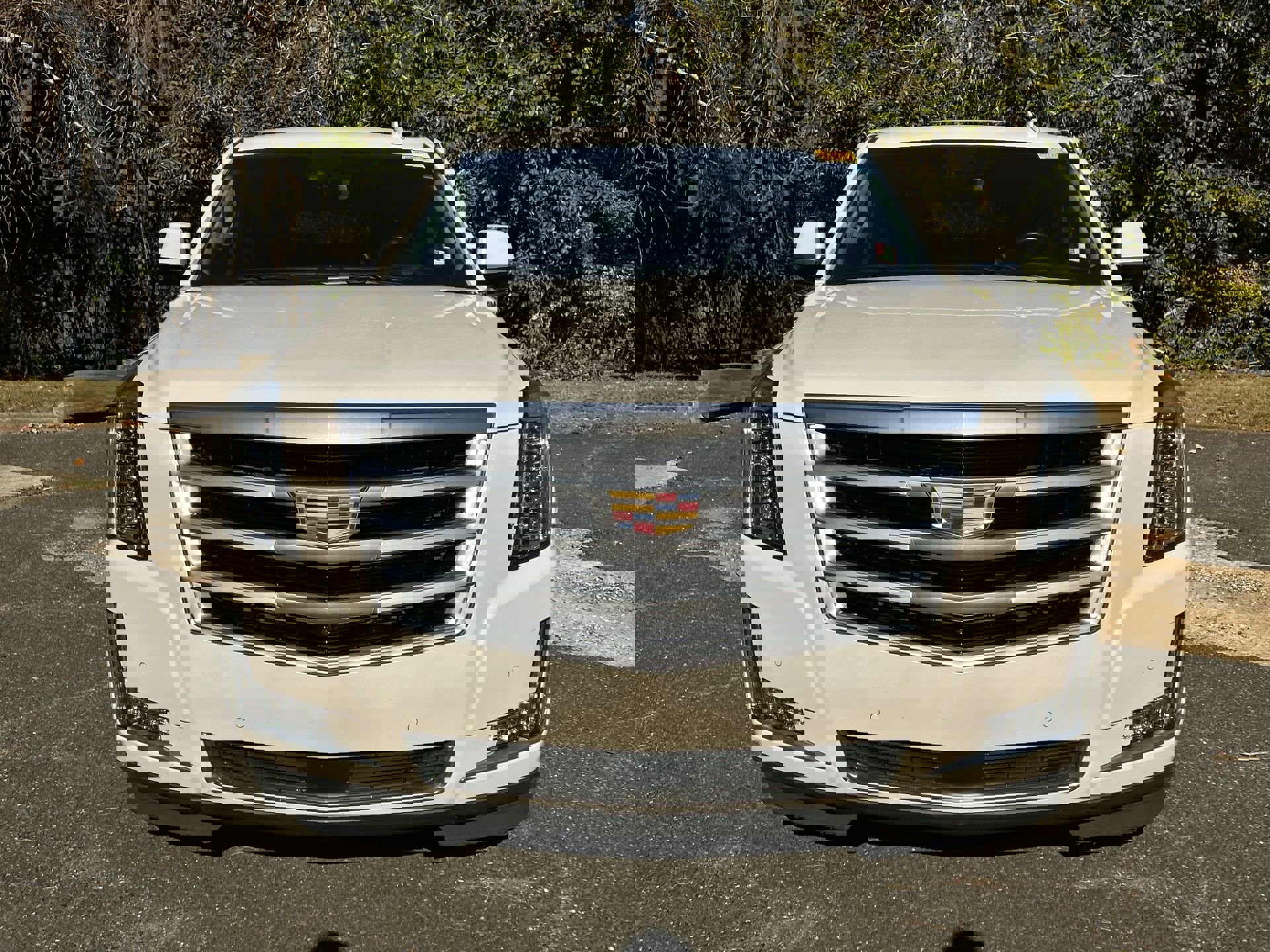 Used 2017 Cadillac Escalade Premium Luxury image 10