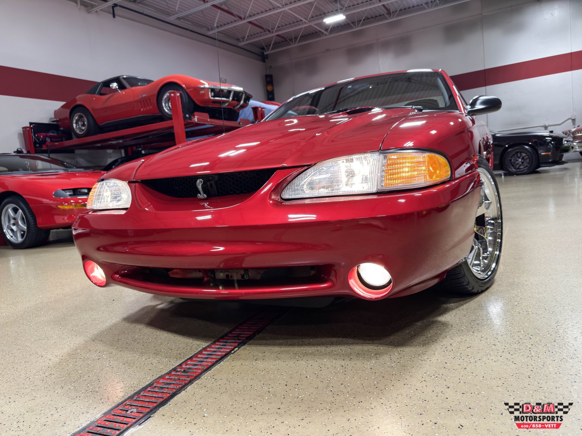 Used 1996 Ford Mustang Cobra RWD image 52