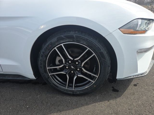 Certified 2023 Ford Mustang Premium RWD image 4
