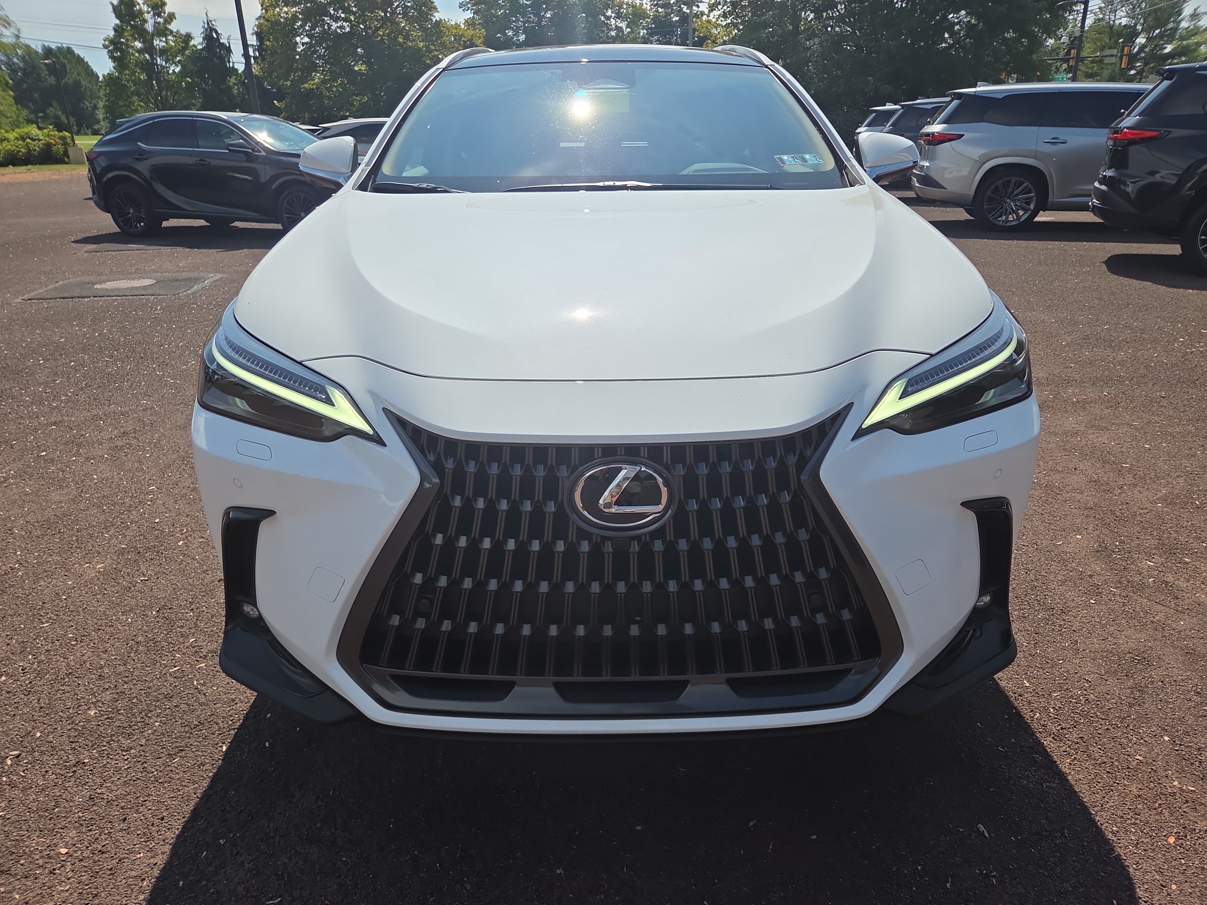 New 2026 Lexus NX 450h+ AWD w/ Luxury Package image 6