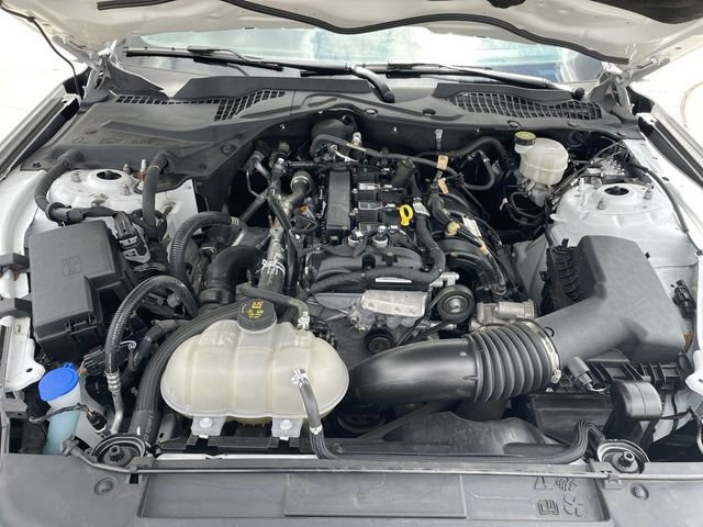 Used 2022 Ford Mustang Coupe w/ Equipment Group 101A RWD image 28