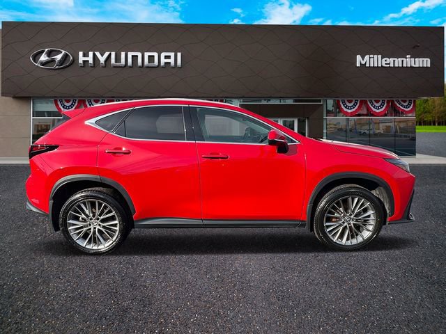 Used 2023 Lexus NX 350h AWD image 4