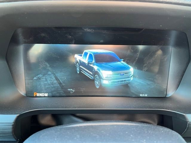 New 2025 Ford F150 STX w/ LOBO Package image 28