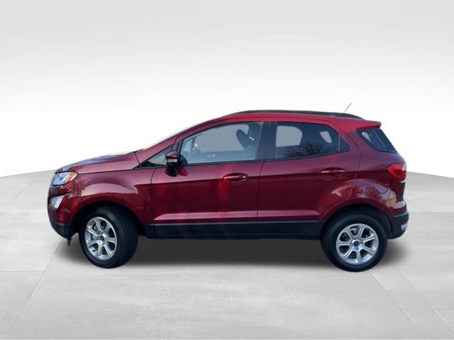 Used 2020 Ford EcoSport SE image 3
