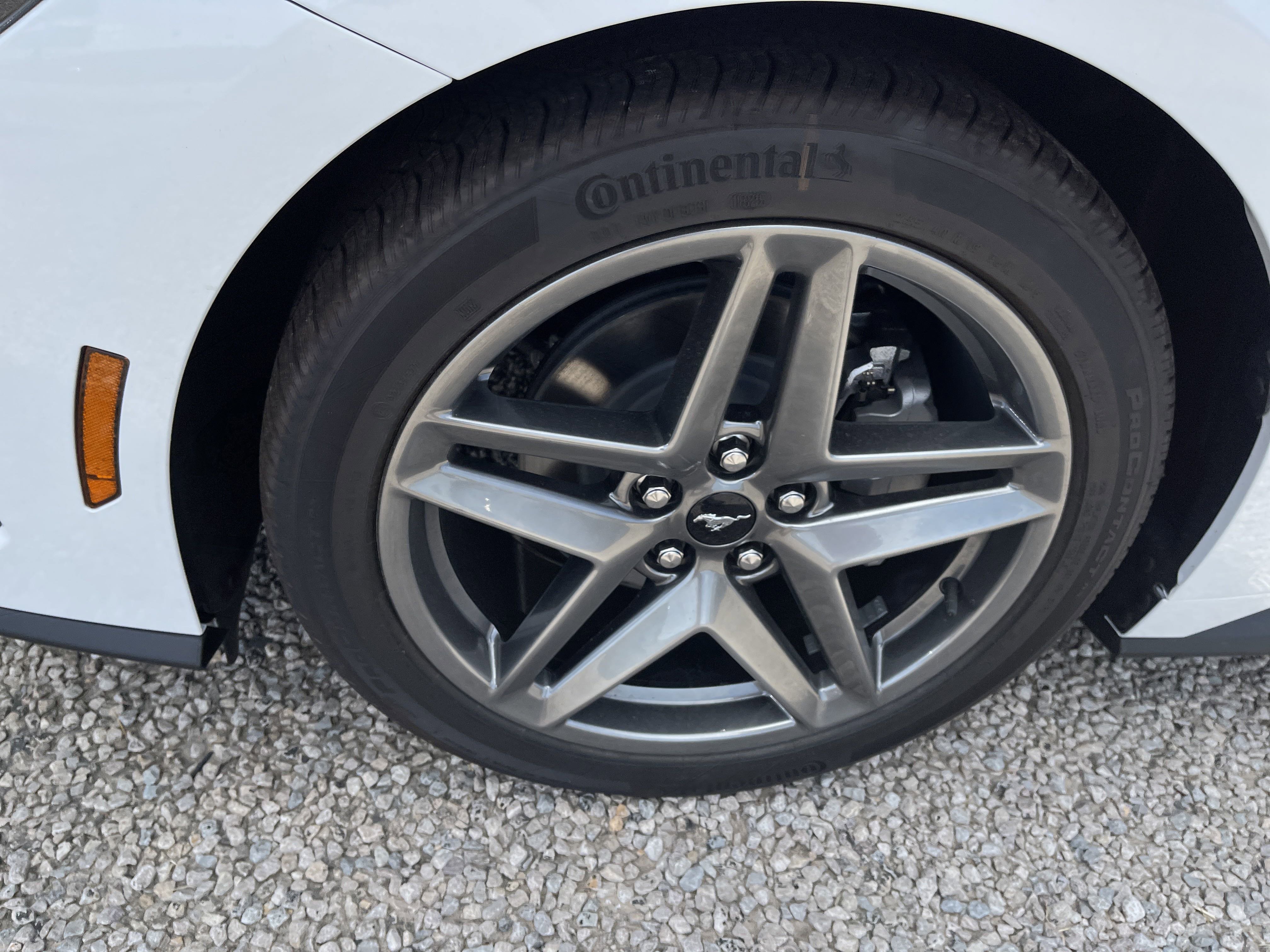 New 2025 Ford Mustang Coupe image 11