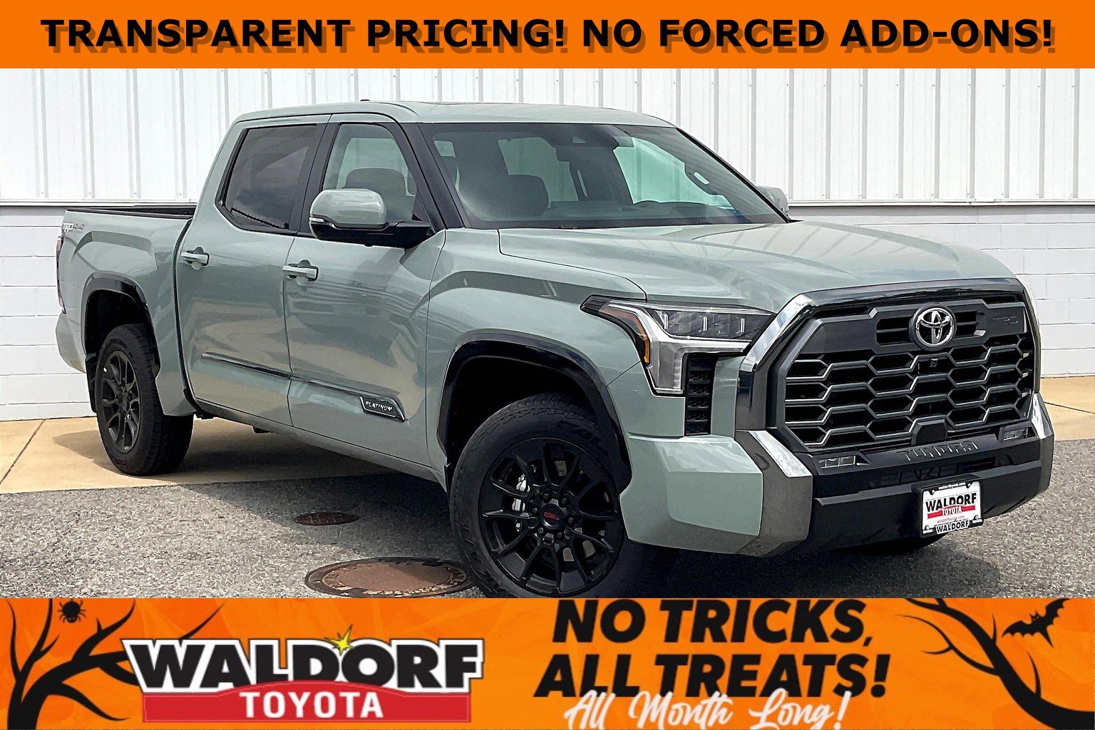 New 2025 Toyota Tundra Platinum