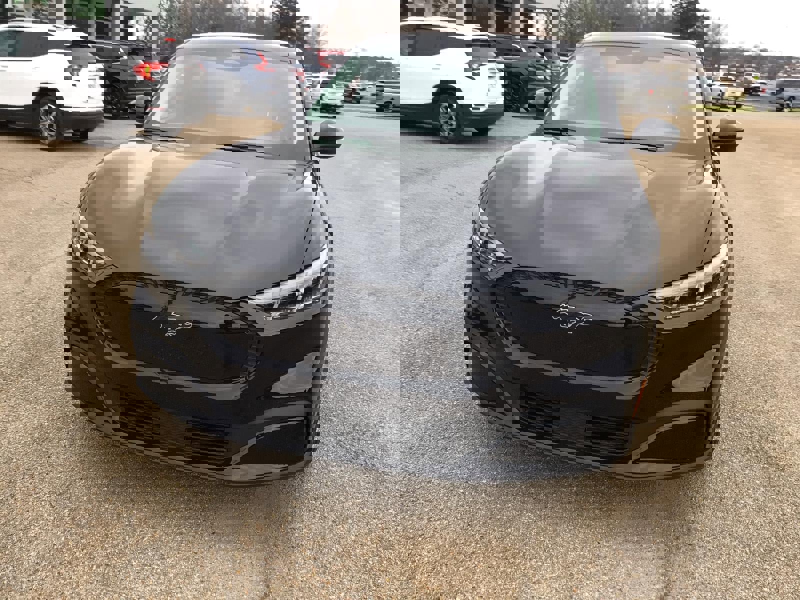 New 2026 Ford Mustang Mach-E Select w/ Comfort Package image 5