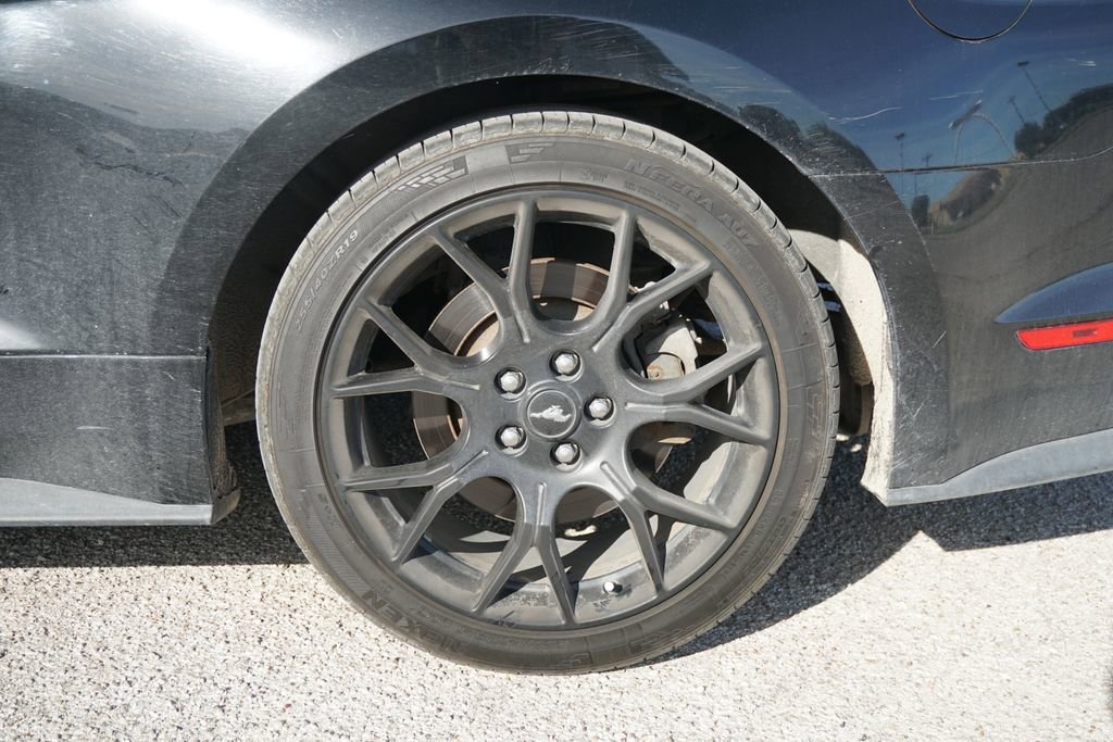 Used 2019 Ford Mustang Coupe w/ Ecoboost Performance Package image 12