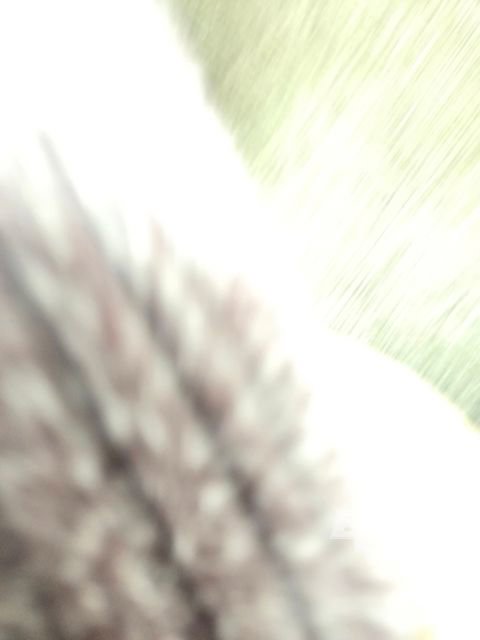 Used 2009 Ford F150 XL image 10