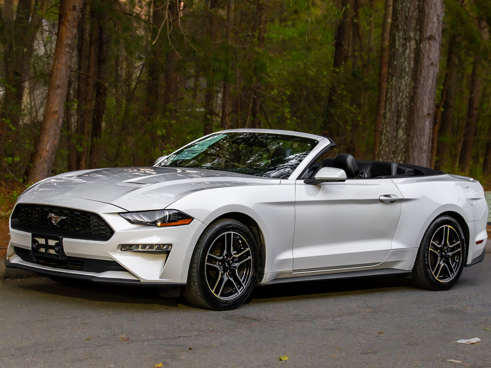 Used 2022 Ford Mustang Premium image 50