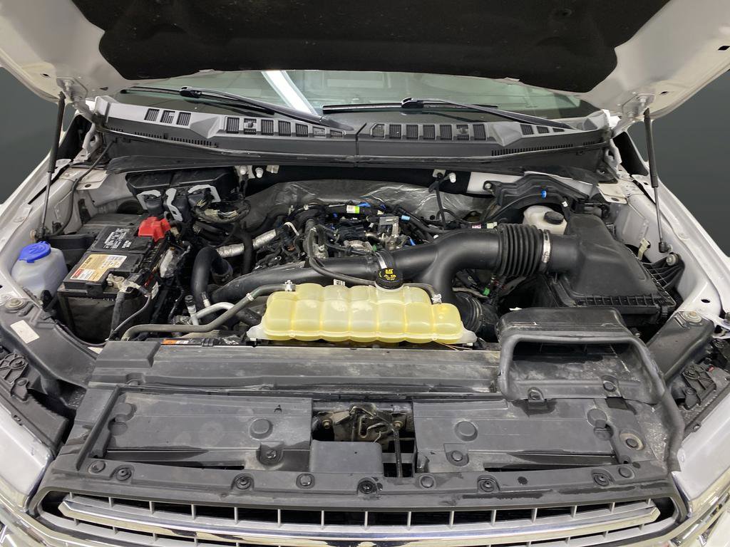 Used 2019 Ford F150 XLT w/ Equipment Group 302A Luxury image 51