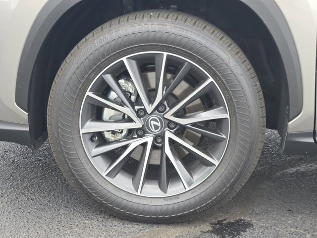 Certified 2025 Lexus NX 250 FWD w/ Cold Area Package image 12