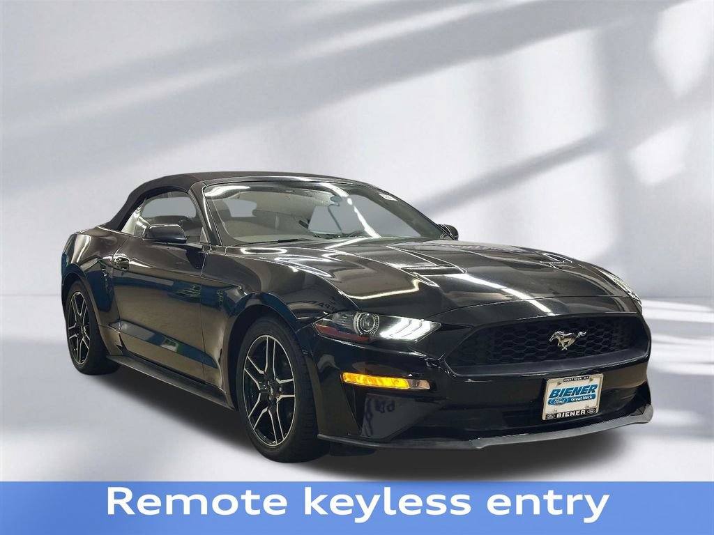 Used 2019 Ford Mustang Premium RWD image 11