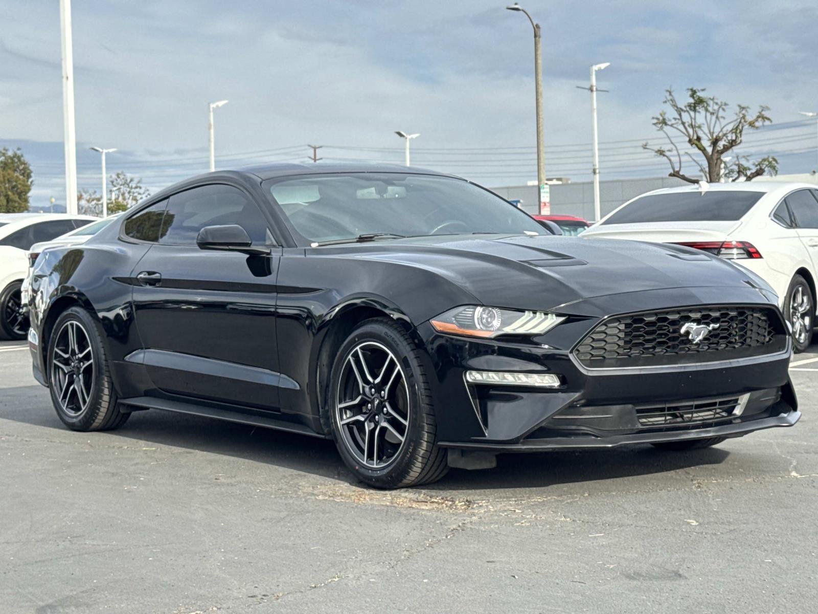 Used 2019 Ford Mustang Coupe image 7