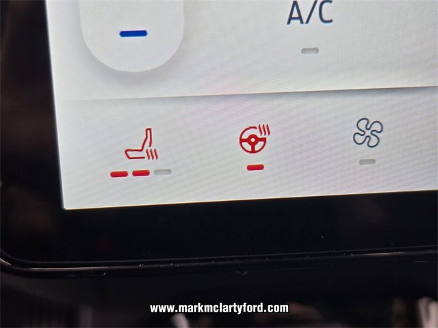 New 2025 Ford Mustang Mach-E GT image 17