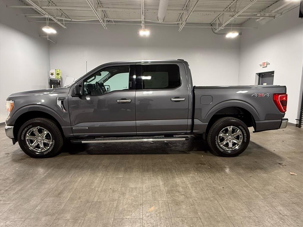 Certified 2023 Ford F150 XLT w/ Equipment Group 301A Mid image 7