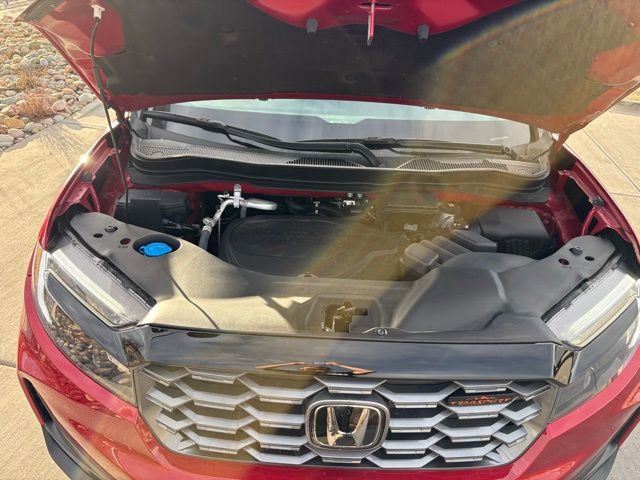 Used 2024 Honda Passport TrailSport image 12